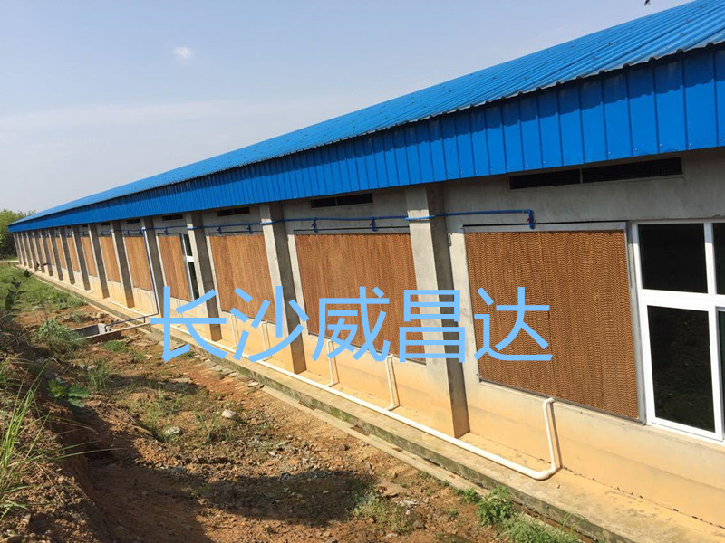 夏季燒烤模式開啟，您的養(yǎng)殖畜禽舍降溫了嗎？湖南水簾風(fēng)機(jī)專業(yè)為養(yǎng)殖畜禽舍降溫