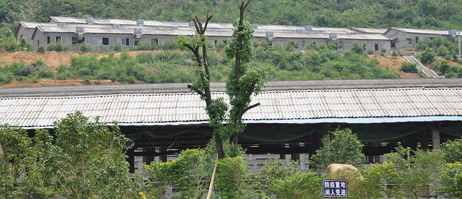 瑞昌環(huán)?？照{
